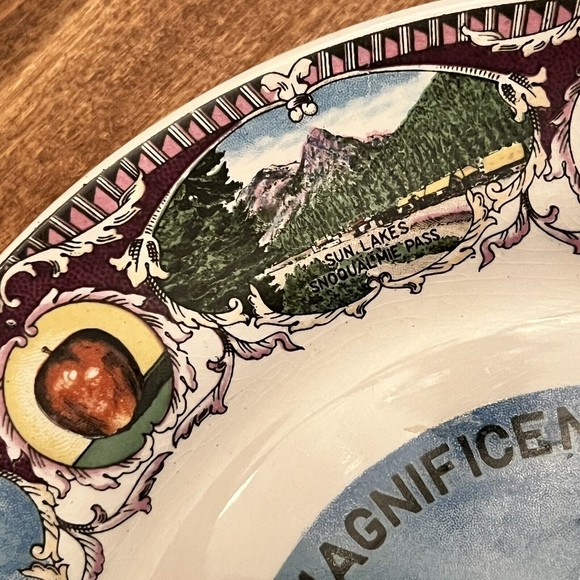 VTG Magnificient Washington Mount Rainier Collector Plate 9" Made in Japan - Picture 10 of 12